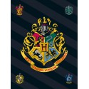 Koc Harry Potter 100/140 cm (1)